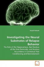 Investigating the Neural Substrates of Relapse Behavior
