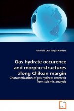 Gas hydrate occurence and morpho-structures along Chilean margin