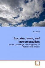 Socrates, Irwin, and Instrumentalism