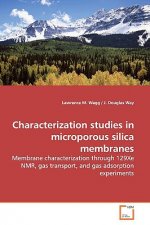Characterization studies in microporous silica membranes