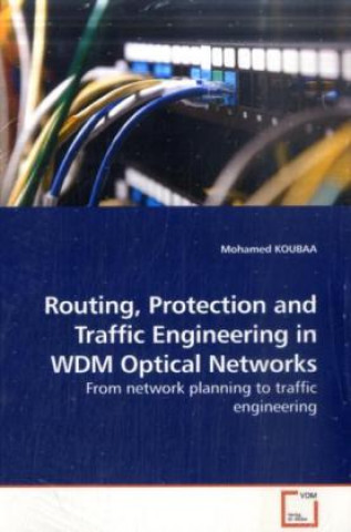 Routing, Protection and Traffic Engineering in WDM Optical Networks