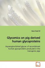 Glycomics on pig derived human glycoproteins