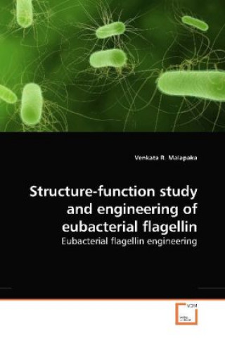 Structure-function study and engineering of eubacterial flagellin