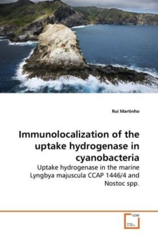 Immunolocalization of the uptake hydrogenase in cyanobacteria