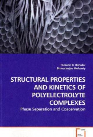 STRUCTURAL PROPERTIES AND KINETICS OF POLYELECTROLYTE COMPLEXES