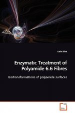 Enzymatic Treatment of Polyamide 6.6 Fibres