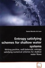 Entropy satisfying schemes for shallow water systems