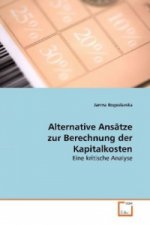 Alternative Ansätze zur Berechnung der Kapitalkosten