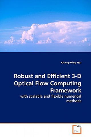 Robust and Efficient 3-D Optical Flow Computing Framework