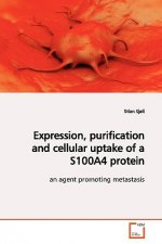 Expression, purification and cellular uptake of a S100A4 protein