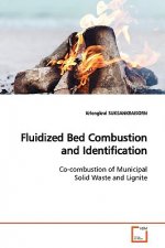 Fluidized Bed Combustion and Identification