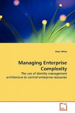 Managing Enterprise Complexity