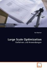 Large Scale Optimization