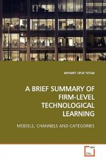 Brief Summary of Firm-Level Technological Learning