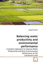 Balancing water productivty and environmental performance