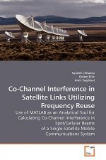 Co-Channel Interference in Satellite Links Utilizing Frequency Reuse