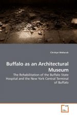 Buffalo as an Architectural Museum
