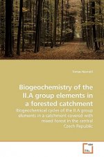 Biogeochemistry of the II.A group elements in a forested catchment