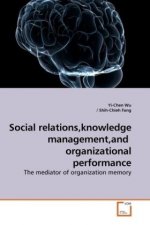 Social relations,knowledge management,and  organizational performance