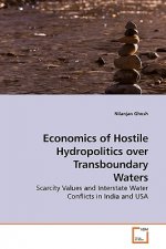 Economics of Hostile Hydropolitics over Transboundary Waters