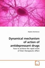 Dynamical mechanism of action of antidepressant drugs