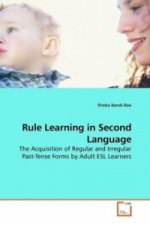 Rule Learning in Second Language