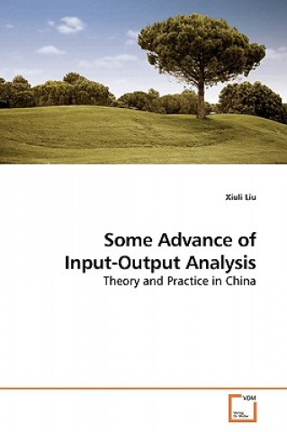 Some Advance of Input-Output Analysis