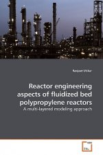 Reactor engineering aspects of fluidized bed polypropylene reactors