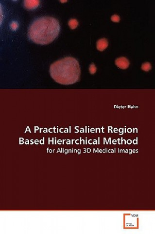 Practical Salient Region Based Hierarchical Method