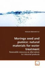 Moringa seed and pumice: natural materials for water treatment