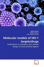 Molecular models of HIV-1 targets/drugs