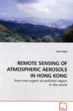 REMOTE SENSING OF ATMOSPHERIC AEROSOLS IN HONG KONG