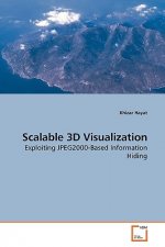 Scalable 3D Visualization