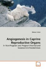 Angiogenesis in Caprine Reproductive Organs