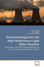 Ruckstroembegrenzer des High Performance Light Water Reactors