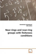 Near-rings and near-ring groups with finiteness conditions