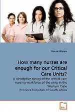 How many nurses are enough for our Critical Care Units?