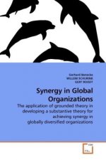 Synergy in Global Organizations
