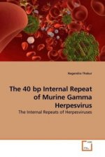 The 40 bp Internal Repeat of Murine Gamma Herpesvirus