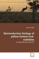 Reintroduction biology of yellow-footed rock-wallabies
