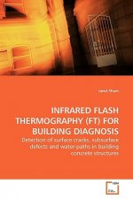 Infrared Flash Thermography (Ft) for Building Diagnosis