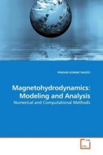 Magnetohydrodynamics: Modeling and Analysis