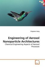 Engineering of Aerosol Nanoparticle Architectures