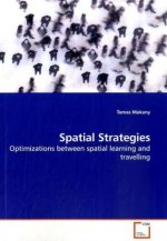 Spatial Strategies