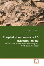 Coupled phenomena in 3D fractured media