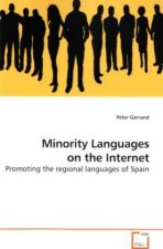 Minority Languages on the Internet