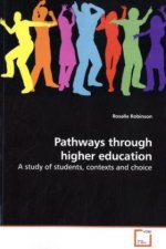 Pathways through higher education