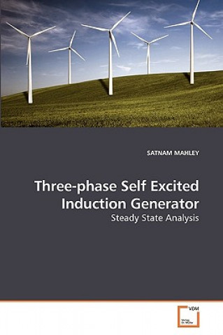 Three-phase Self Excited Induction Generator