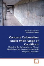 Concrete Carbonation under Wide Range of Conditions