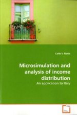 Microsimulation and analysis of income distribution